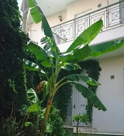 Apartment Vda Kalamata